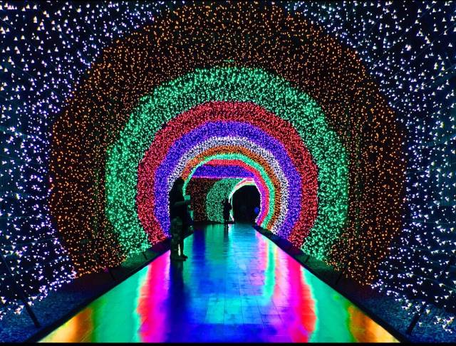 morning picdump 49 pics 3.html - 49 HD Photos | Premium Gallery 2018