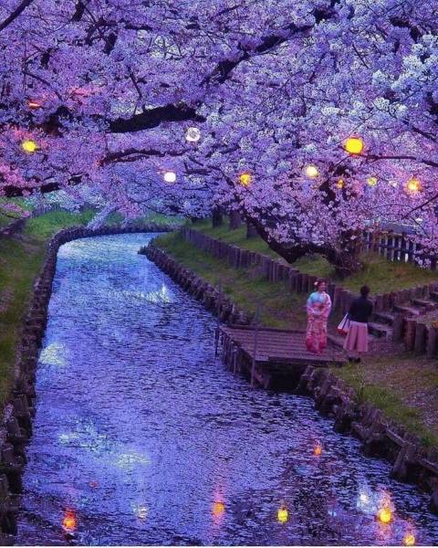 morning picdump 49 pics 3.html - 49 HD Photos | Premium Gallery 2018