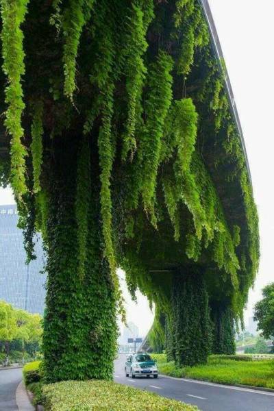 morning picdump 49 pics 3.html - 49 HD Photos | Premium Gallery 2018