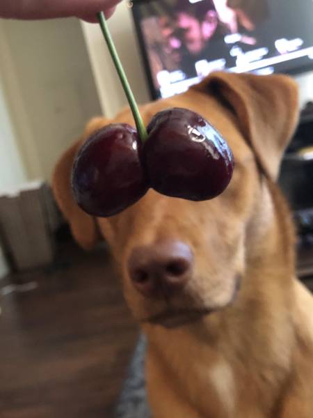 morning picdump 49 pics 3.html - 49 HD Photos | Premium Gallery 2018