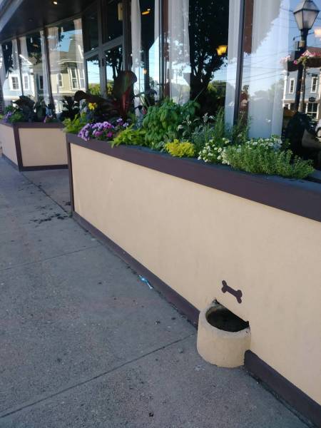 morning picdump 49 pics 3.html - 49 HD Photos | Premium Gallery 2018