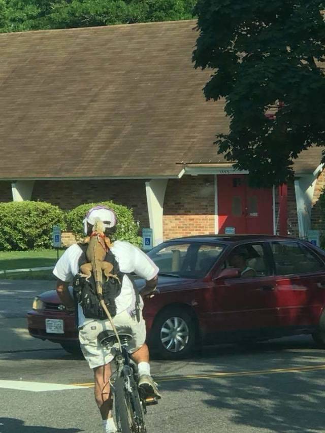 morning picdump 49 pics 3.html - 49 HD Photos | Premium Gallery 2018