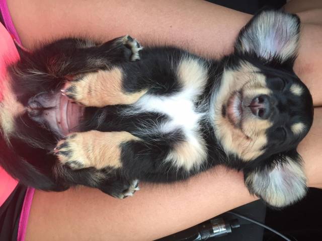 daily picdump 92 pics 4.html - 92 HD Photos | Premium Gallery 2018