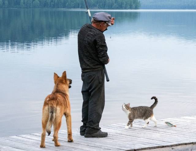 daily picdump 92 pics 4.html - 92 HD Photos | Premium Gallery 2018