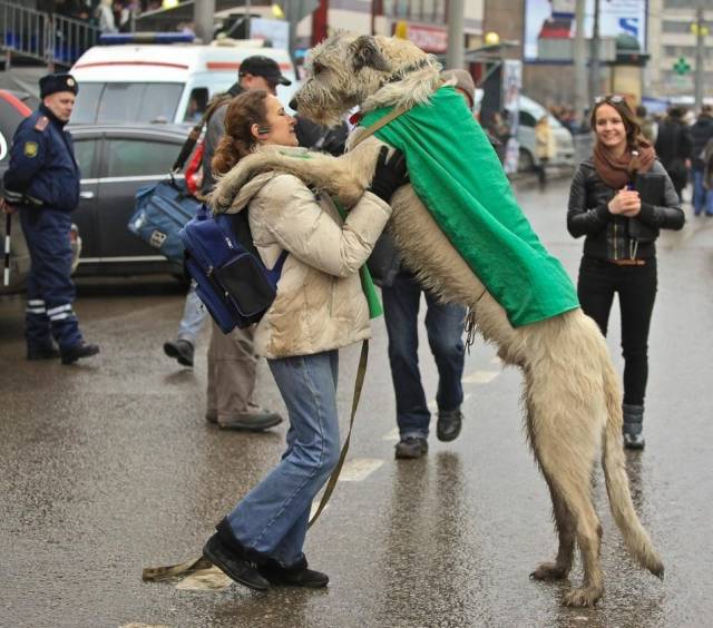 daily picdump 92 pics 4.html - 92 HD Photos | Premium Gallery 2018