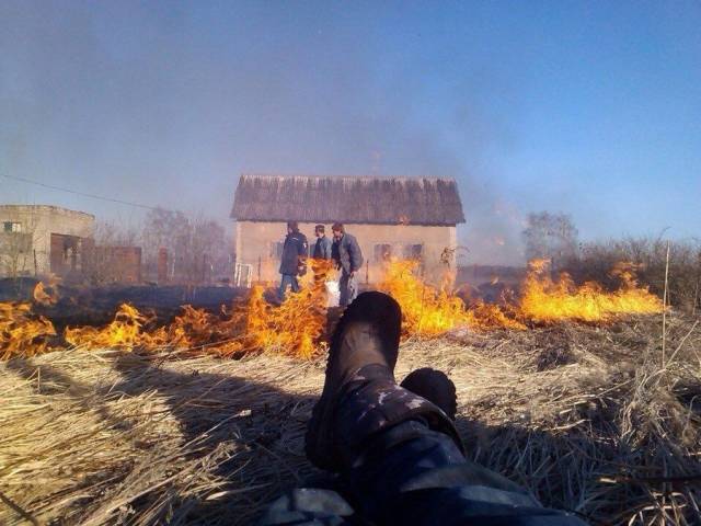 daily picdump 92 pics 4.html - 92 HD Photos | Premium Gallery 2018