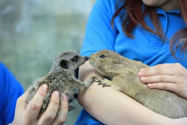 daily picdump 92 pics 4.html - 92 HD Photos | Premium Gallery 2018