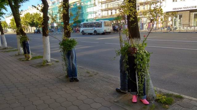 daily picdump 92 pics 4.html - 92 HD Photos | Premium Gallery 2018