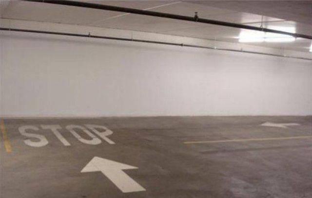 daily picdump 92 pics 4.html - 92 HD Photos | Premium Gallery 2018