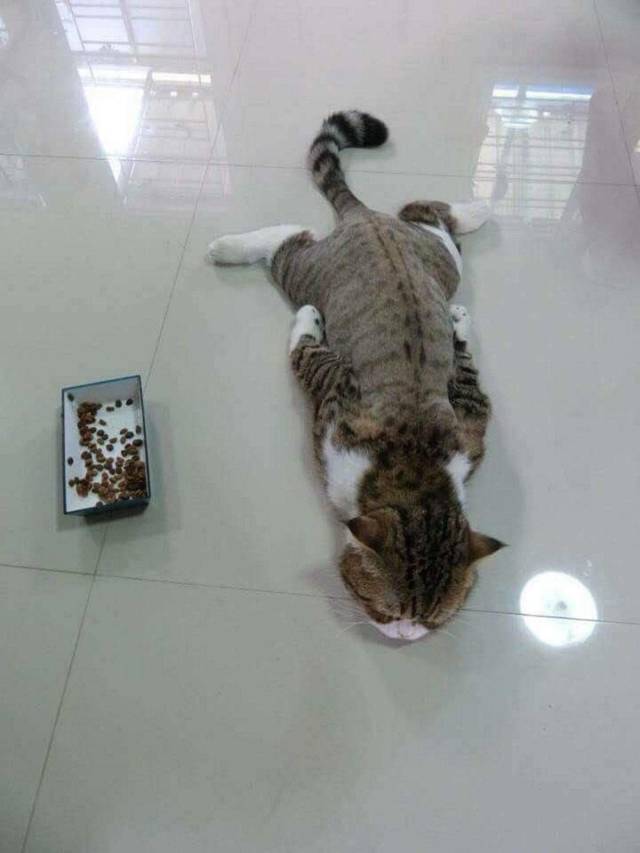 daily picdump 92 pics 4.html - 92 HD Photos | Premium Gallery 2018