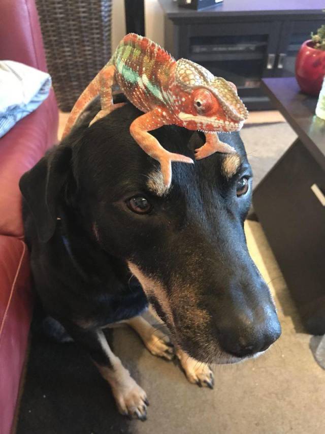 daily picdump 92 pics 4.html - 92 HD Photos | Premium Gallery 2018