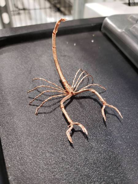 morning picdump 54 pics 4.html - 54 HD Photos | Premium Gallery 2018