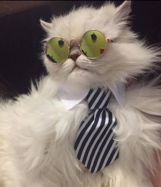 morning picdump 54 pics 4.html - 54 HD Photos | Premium Gallery 2018