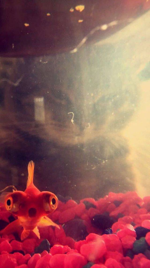 Background Always Has Something Interesting