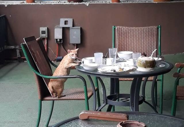 daily picdump 100 pics 4.html - 100 HD Photos | Premium Gallery 2018