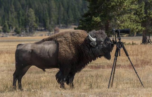 daily picdump 100 pics 4.html - 100 HD Photos | Premium Gallery 2018