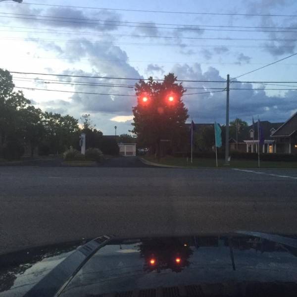 daily picdump 100 pics 4.html - 100 HD Photos | Premium Gallery 2018