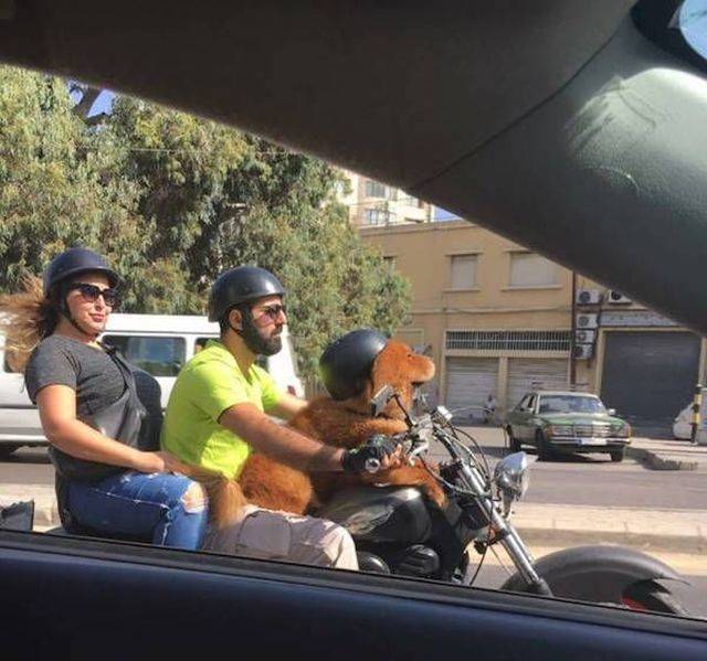 daily picdump 100 pics 4.html - 100 HD Photos | Premium Gallery 2018