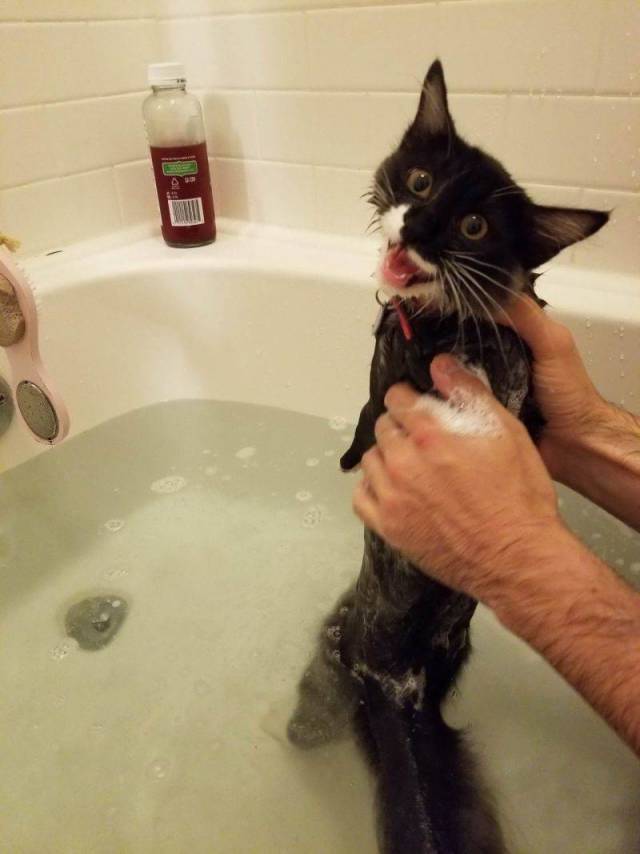 daily picdump 100 pics 4.html - 100 HD Photos | Premium Gallery 2018