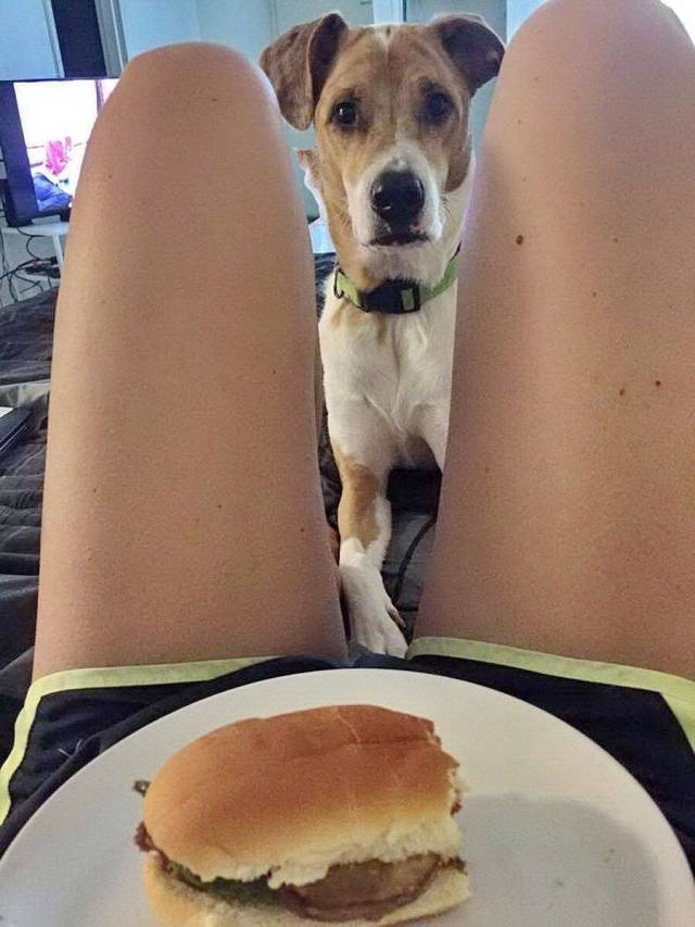 daily picdump 100 pics 4.html - 100 HD Photos | Premium Gallery 2018