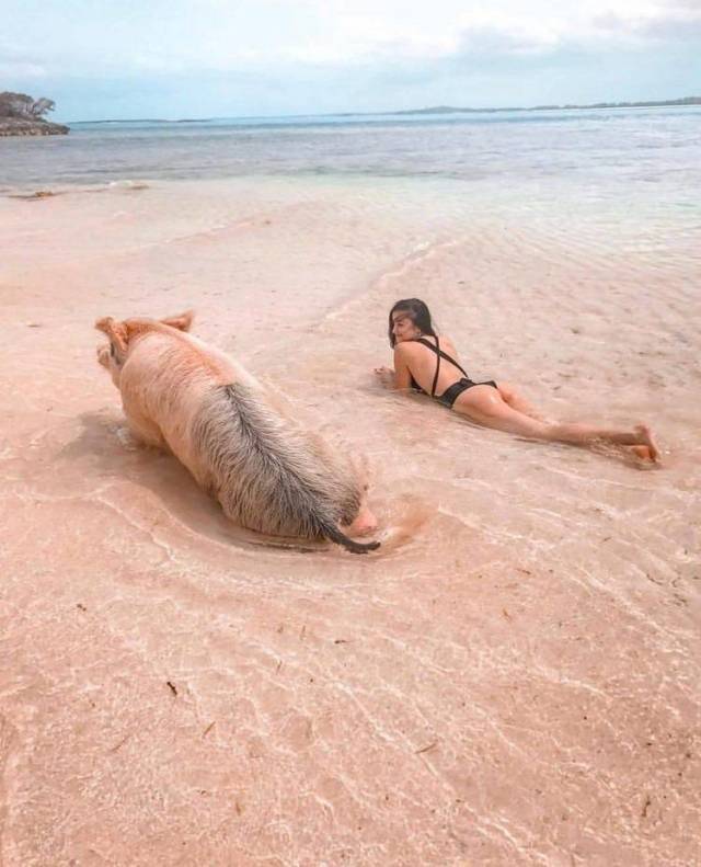 daily picdump 100 pics 4.html - 100 HD Photos | Premium Gallery 2018