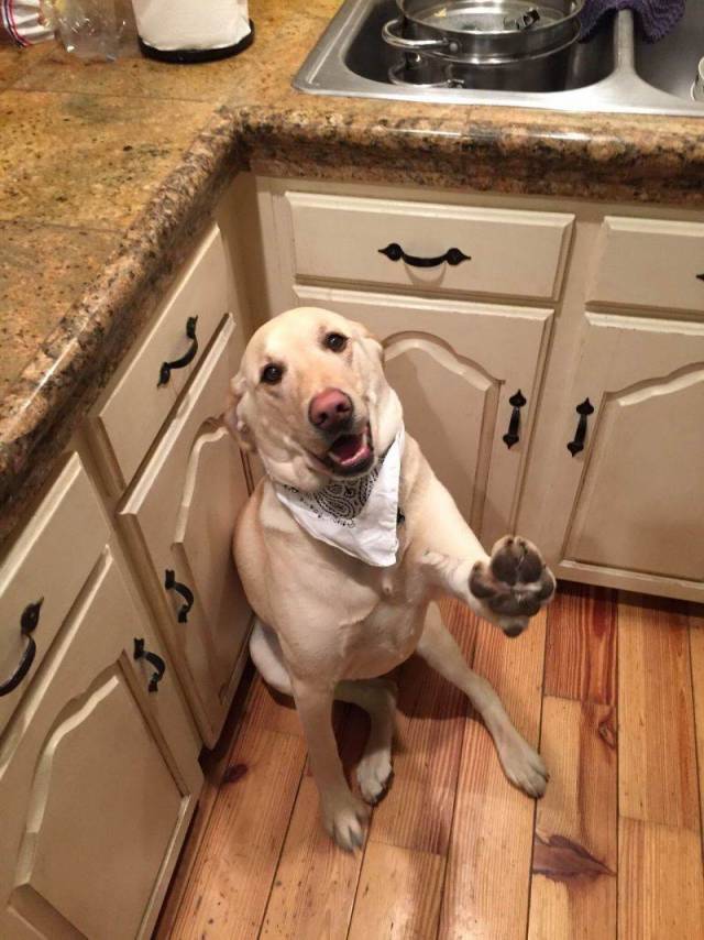 daily picdump 100 pics 4.html - 100 HD Photos | Premium Gallery 2018