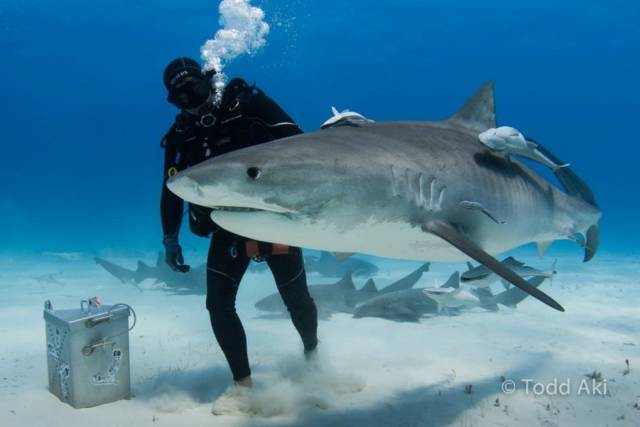 morning picdump 55 pics 9.html - 55 HD Photos | Premium Gallery 2018