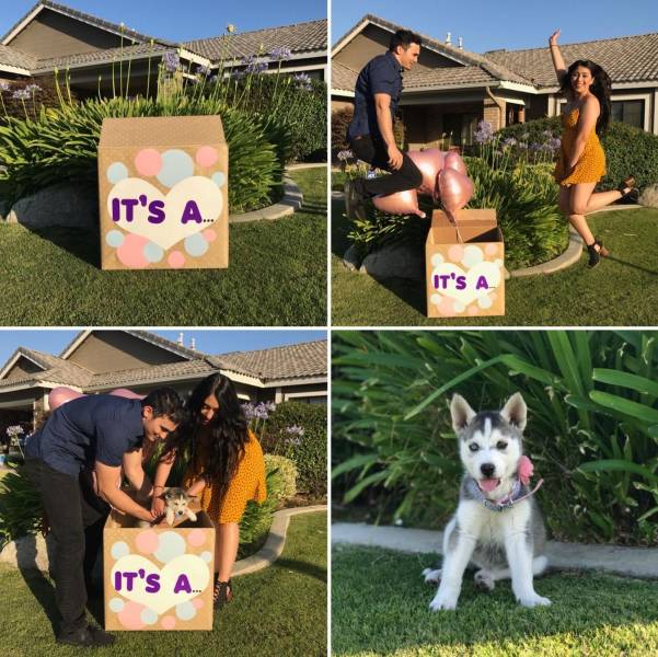 morning picdump 55 pics 9.html - 55 HD Photos | Premium Gallery 2018