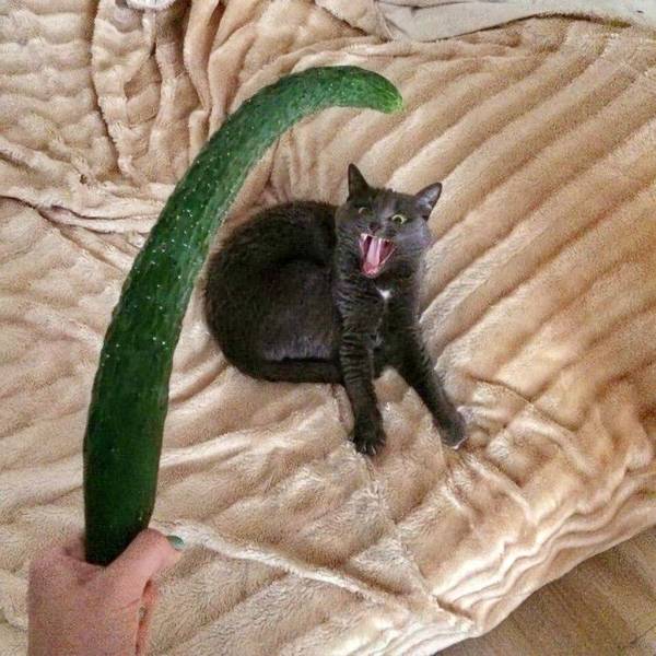 morning picdump 55 pics 9.html - 55 HD Photos | Premium Gallery 2018