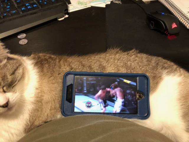 morning picdump 55 pics 9.html - 55 HD Photos | Premium Gallery 2018