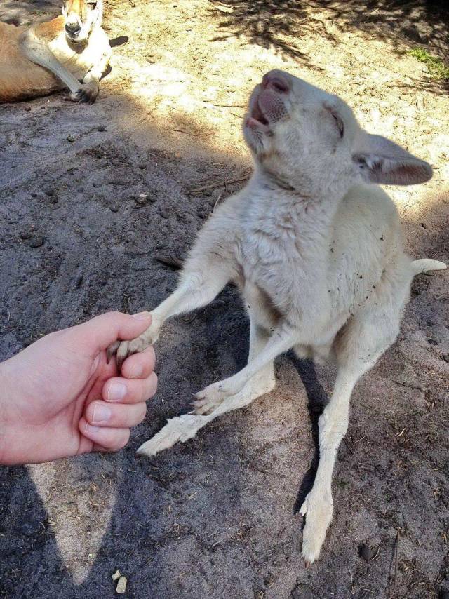 morning picdump 55 pics 9.html - 55 HD Photos | Premium Gallery 2018