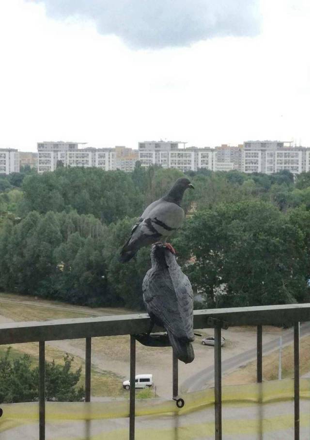 morning picdump 55 pics 9.html - 55 HD Photos | Premium Gallery 2018