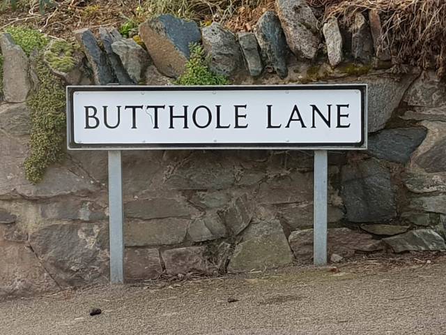 daily picdump weekend edition 51 pics 2.html - 51 HD Photos | Premium Gallery 2018