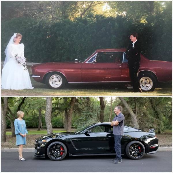 daily picdump weekend edition 51 pics 2.html - 51 HD Photos | Premium Gallery 2018