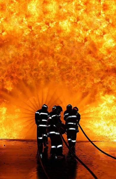 daily picdump weekend edition 51 pics 2.html - 51 HD Photos | Premium Gallery 2018