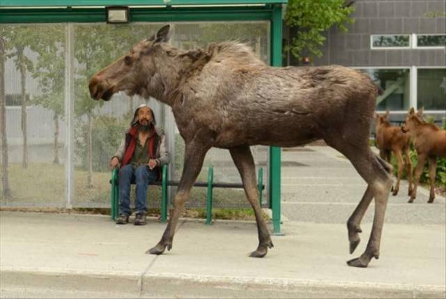 daily picdump 96 pics 2.html - 96 HD Photos | Premium Gallery 2018