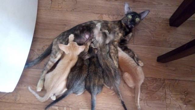 daily picdump 96 pics 2.html - 96 HD Photos | Premium Gallery 2018