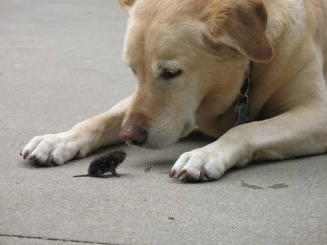 daily picdump 96 pics 2.html - 96 HD Photos | Premium Gallery 2018