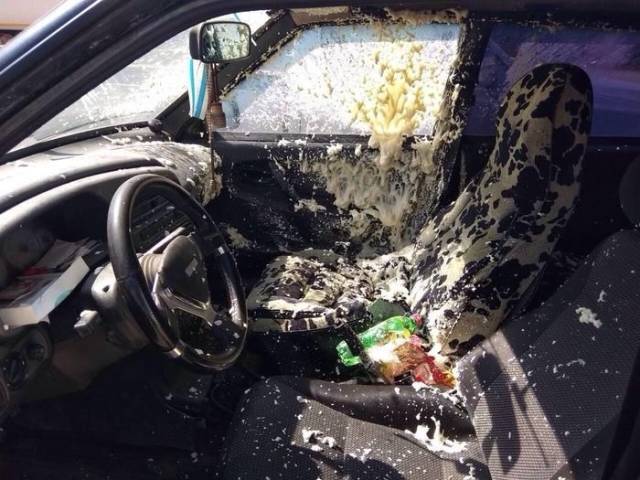 daily picdump 96 pics 2.html - 96 HD Photos | Premium Gallery 2018