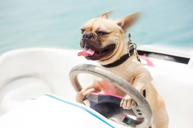 daily picdump 96 pics 2.html - 96 HD Photos | Premium Gallery 2018