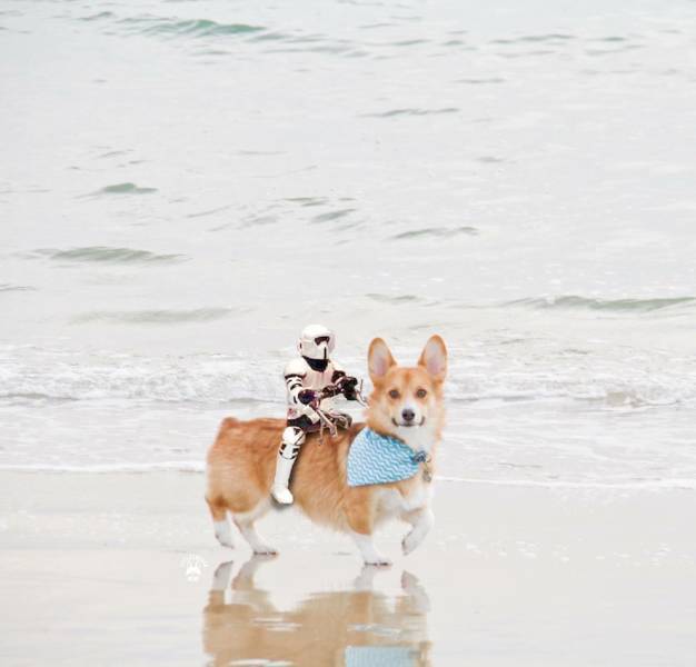 daily picdump 96 pics 2.html - 96 HD Photos | Premium Gallery 2018