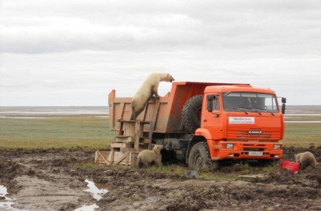 daily picdump 96 pics 2.html - 96 HD Photos | Premium Gallery 2018