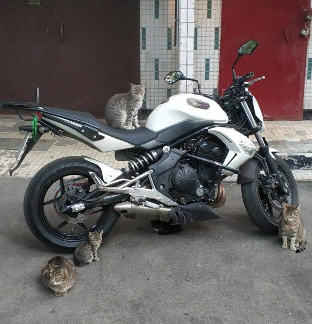 daily picdump 96 pics 2.html - 96 HD Photos | Premium Gallery 2018