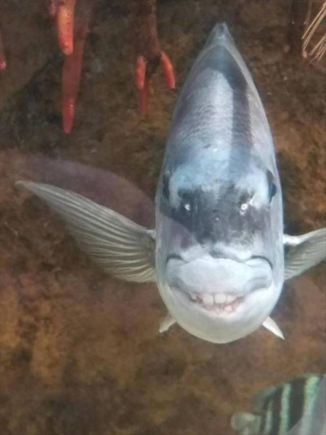 daily picdump 96 pics 2.html - 96 HD Photos | Premium Gallery 2018