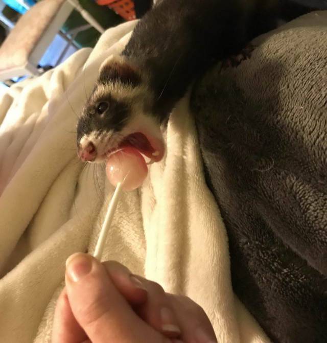 daily picdump 96 pics 2.html - 96 HD Photos | Premium Gallery 2018