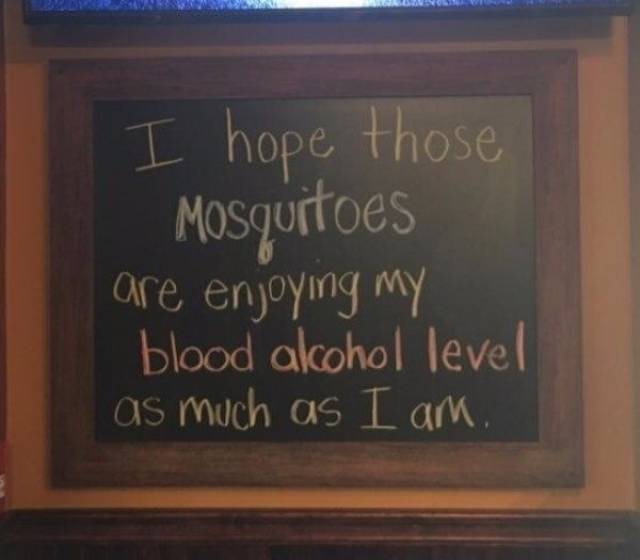 Wasted. Absolutely Wasted