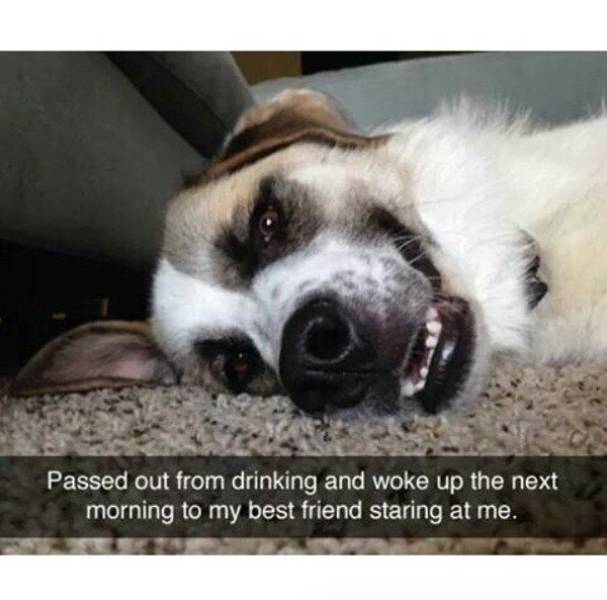 Wasted. Absolutely Wasted