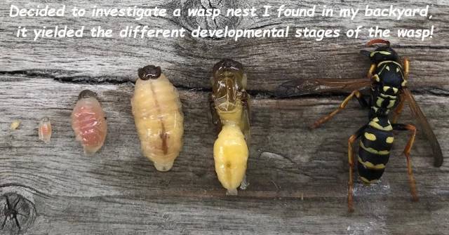 daily picdump 101 pics 4.html - 101 HD Photos | Premium Gallery 2018