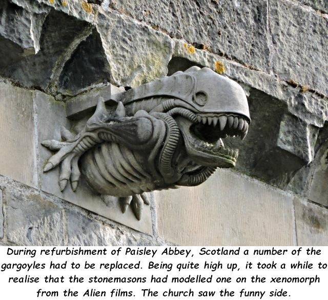 daily picdump 101 pics 4.html - 101 HD Photos | Premium Gallery 2018