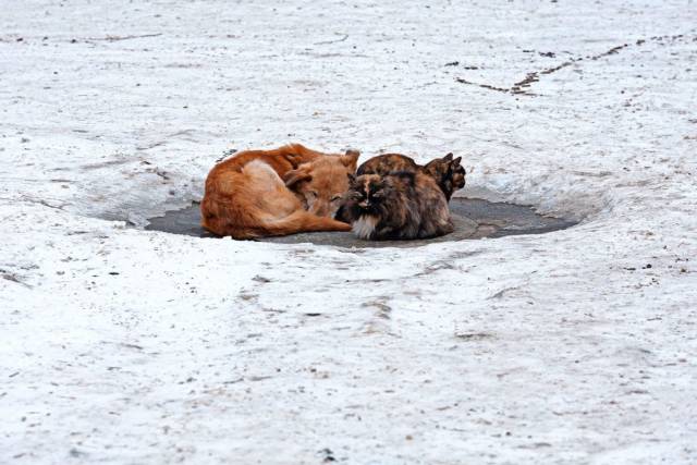 daily picdump 101 pics 4.html - 101 HD Photos | Premium Gallery 2018